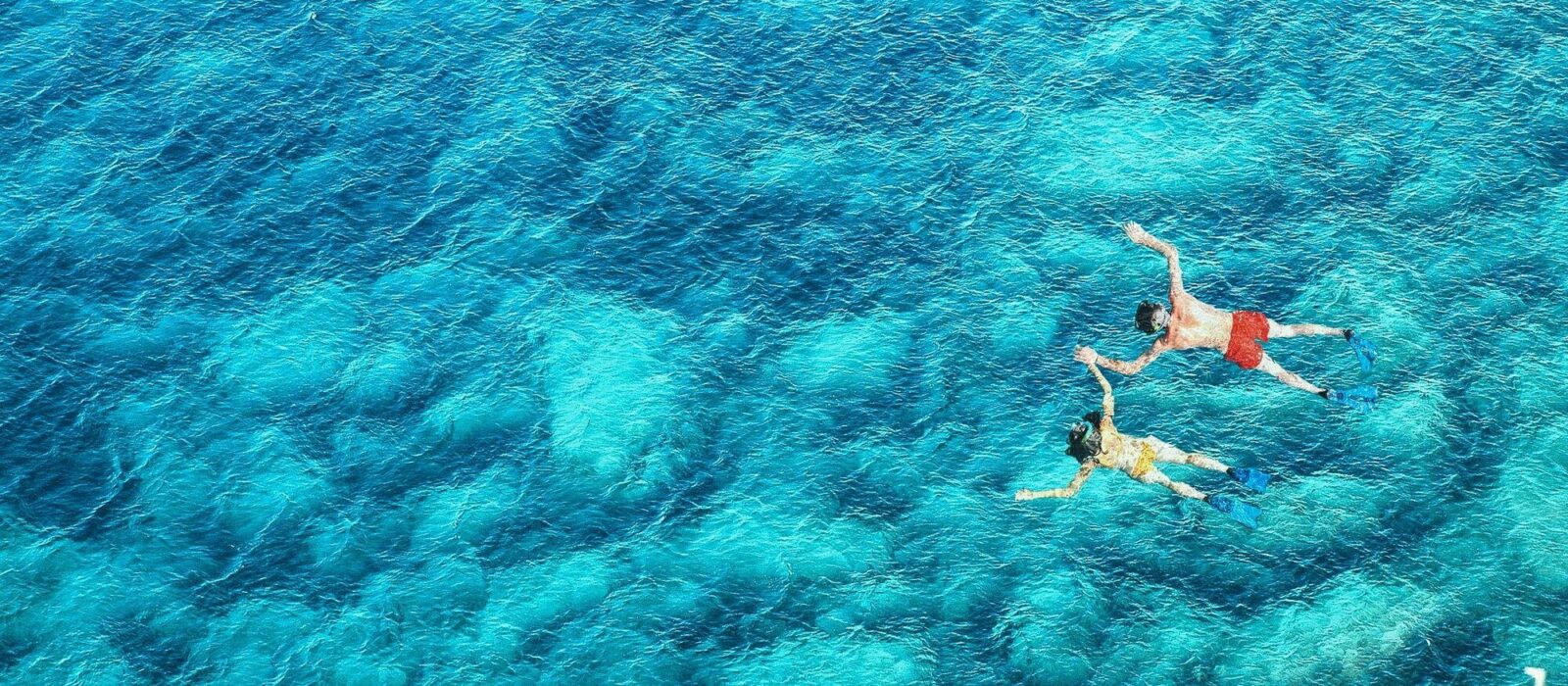 Symbolbild Reise- und Impfberatung zeigt zwei Personen schnorchelnd im Meer