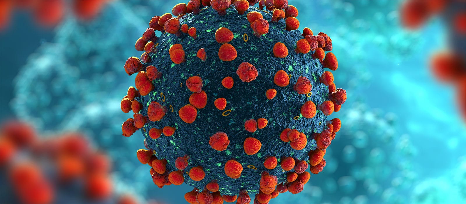 COVID-19 - Produkte und Leistungen rund um die Coronavirus (SARS-CoV-2)-Pandemie 1